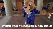 fiupanthers GIF by FIU