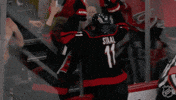 Happy Fun GIF by NHL