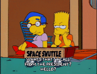 homer simpson GIF