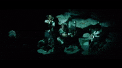 Alt Rock Post Hardcore GIF by Movements