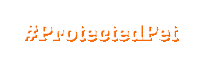 Pet Lovers Cats Sticker by ASPCA Pet Health Insurance