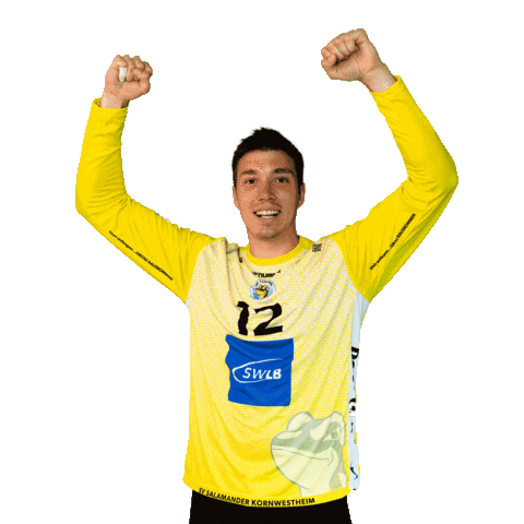 Handball Goalkeeper Sticker by SV Salamander Kornwestheim