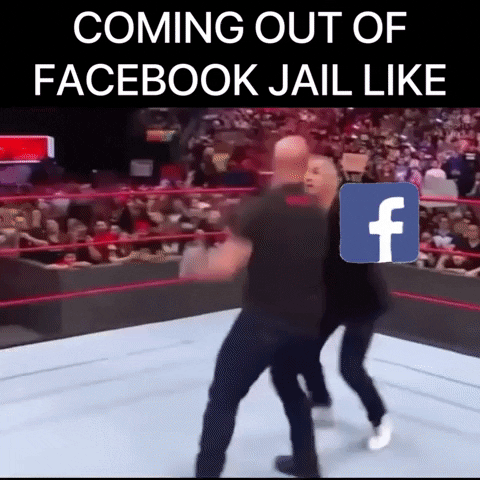 imgmakerguy beer wwe facebook fb GIF