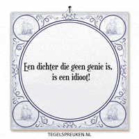 Genie Humor GIF by Tegelspreuken.nl