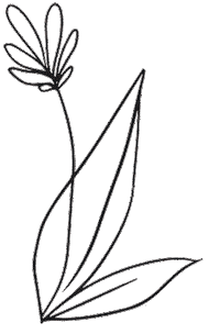 botanicaskn sparkles make up glowing skin botanica Sticker