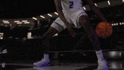 Tommies GIF by Tommie Athletics