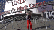 Las Vegas Dancing GIF