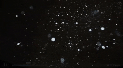 belarofe giphygifmaker GIF