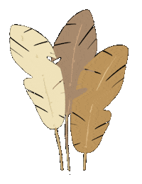 Plants Boho Sticker