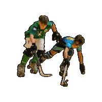 Rollhockey Sticker by RSC Cronenberg
