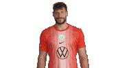 Germany Love Sticker by VfL Wolfsburg