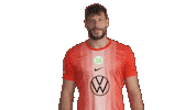Happy Germany Sticker by VfL Wolfsburg