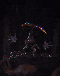 Amanita Muscaria Dance GIF by davidvnun