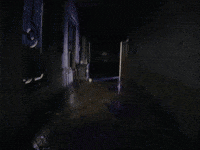 Victreebel GIF by Pokémon