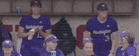 Celebration Texas GIF by NCAA Championships