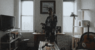 mergerecords cat modelo bob dylan titus GIF