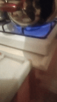 Rog GIF