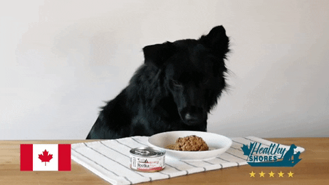 wpet giphyupload GIF