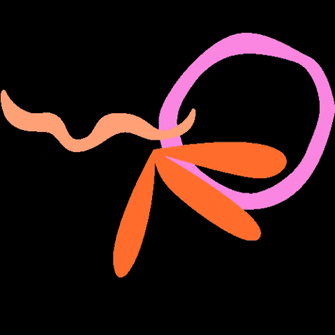 Beautygemak giphyupload beautygemak GIF
