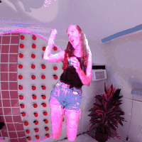 haunting miami beach GIF