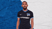 Bundesliga Berlin GIF by Hertha BSC