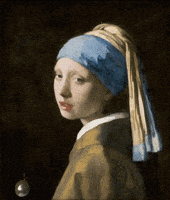 Vermeer GIF