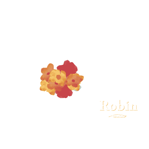 robincollection summer robin swimwear robincollection Sticker
