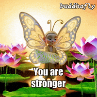 Peace Butterfly GIF by BuddhaFlyJourney