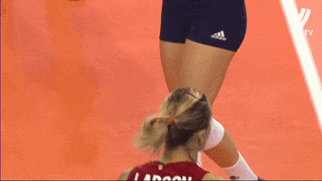 High Five United States GIF by Volleyball World