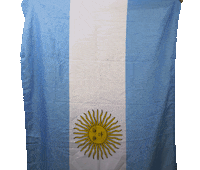 Lisandro Martinez Argentina Sticker by AFC Ajax