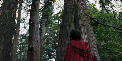 Jenna Ortega Forest GIF by A24