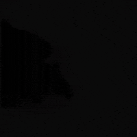 Sigma Funny Cat GIF
