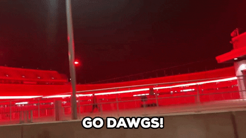 College Football Ncaa GIF by Storyful