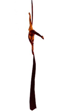 Circus Aerial Silks Sticker by Duo Iceair - Aerial Acrobats