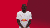 Football Party GIF by RB Leipzig