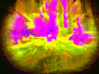 art colors GIF by MFD