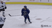 Celebrate Ice Hockey GIF by NHL