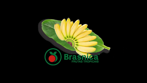 banana fruit GIF by brasnicaoficial