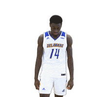 Basketball Dancing Sticker by Delaware Blue Hens