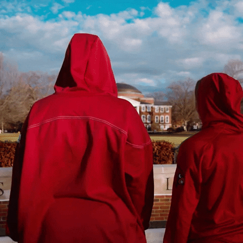 University Of Louisville Sport GIF by Louisville Cardinals
