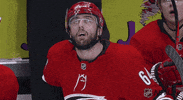 happy ice hockey GIF by NHL
