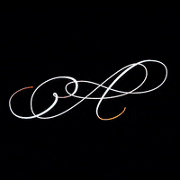 ariweinkle typography a ari weinkle growths GIF