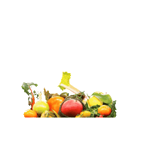 mymarktstand freshbox my marktstand mymarktstand Sticker