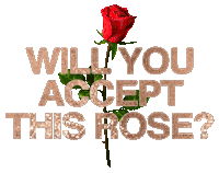 Bachelor In Paradise Love Sticker by The Bachelorette