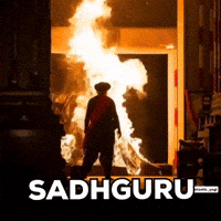 Fire Yoga GIF by Save Soil - Art For Soil