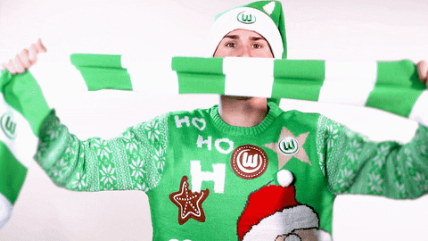 felix klaus football GIF by VfL Wolfsburg