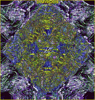 Art Repeating GIF by TEKLA, THE SEER
