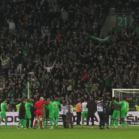 Football Celebration GIF by AS Saint-Étienne