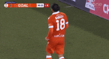 Forge Fc GIF by Hamilton Sports Group