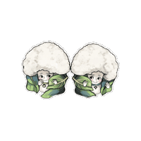 Coliflor Sticker by Semillasabechile